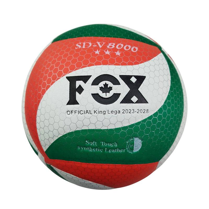 Fox-volleyball-25