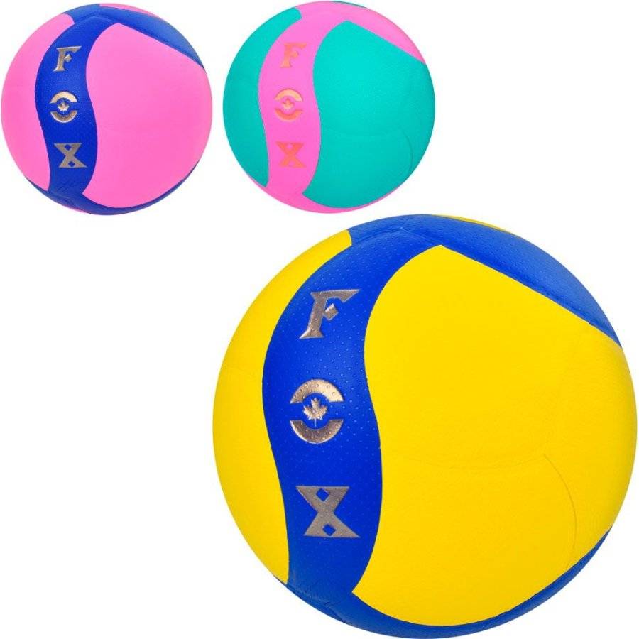 myach_voleybolnyy_bb_ms_3957_975_978